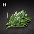 Fresh Sage | Mmmm Singapore