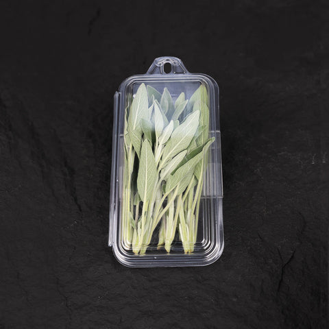 Fresh Sage | Mmmm Singapore