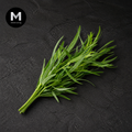 Fresh Tarragon | Mmmm Singapore