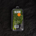 Garden Chervil | Mmmm Singapore