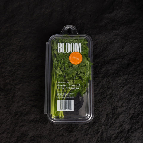 Garden Chervil | Mmmm Singapore