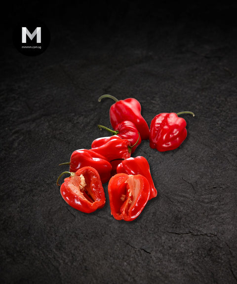 Red Habanero Chili Pepper