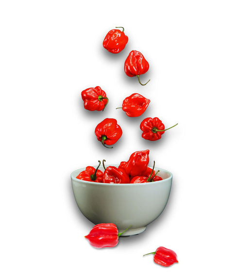 Habanero Chilli Pepper