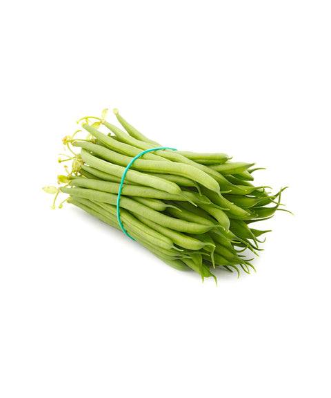 Bunch of haricot beans tied with a rubber band on a white background