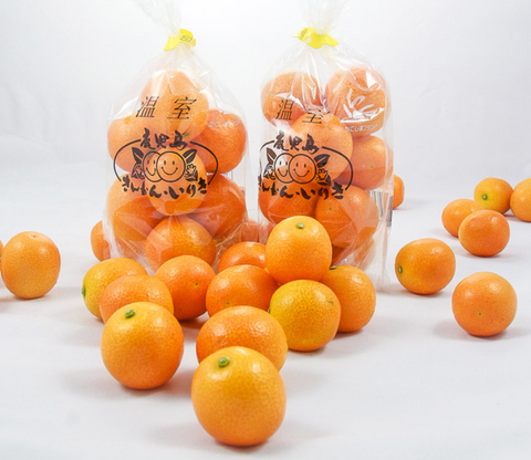 Several fresh kumquats scattered on a white surface, with two clear plastic bags in the background, each bag featuring a label with Japanese text.