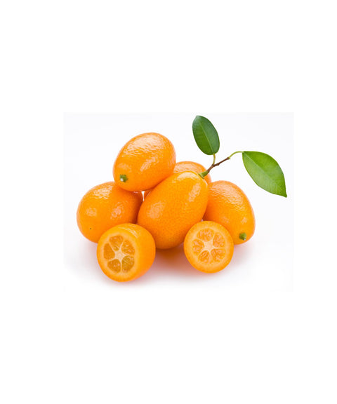 Kumquat