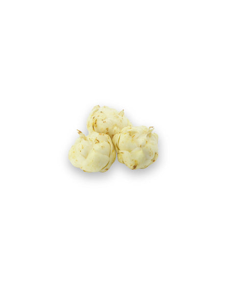 Lily Bulb