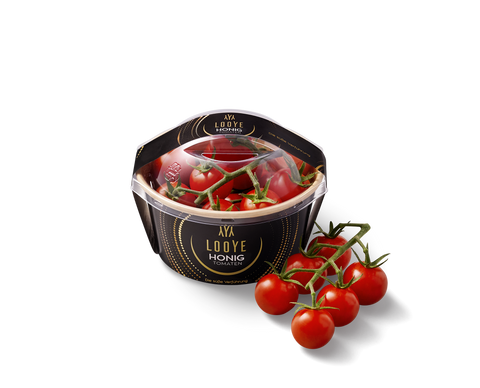 Honing Cherry Tomato on Vine