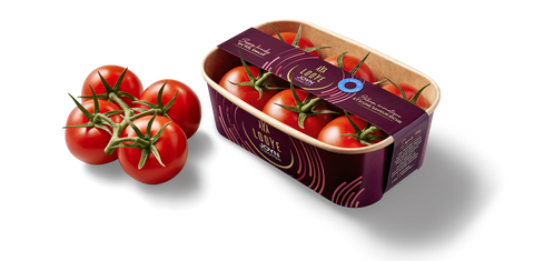 Joyn Tomato on Vine