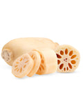 Sliced lotus root on a white background