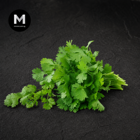 Fresh Coriander (20g)