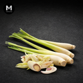 Fresh Lemongrass on a dark background
