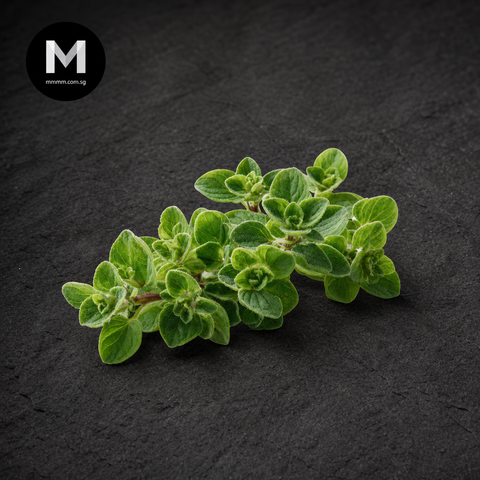 Fresh Marjoram | Mmmm Singapore