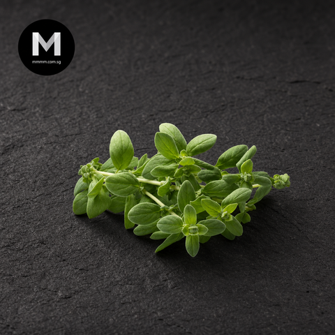 Fresh Oregano