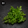 Pile of fresh green Italian Parsley herbs on a dark textured surface