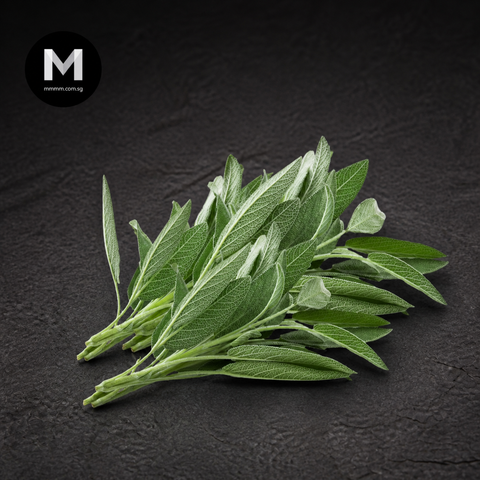 Fresh Sage