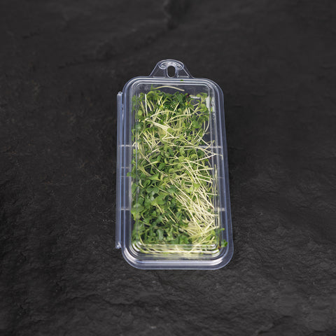 Broccoli Cress Microgreens