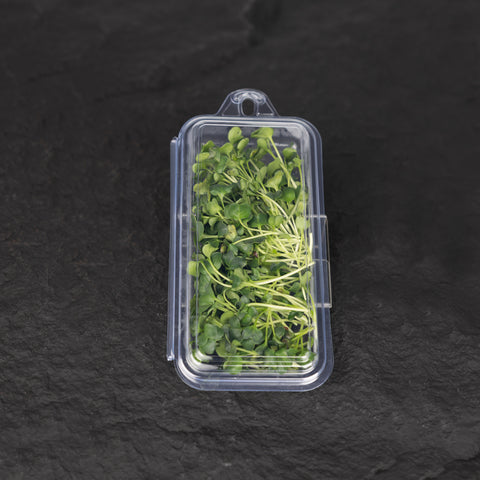 Green Daikon Cress Microgreens (10g)