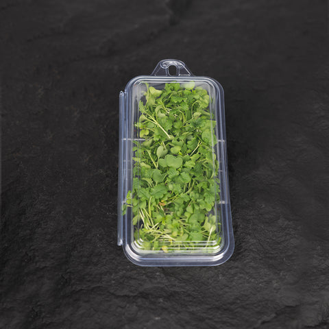 Green Mustard Cress Microgreens
