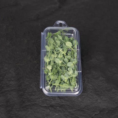 Pea Tendril Cress Microgreens