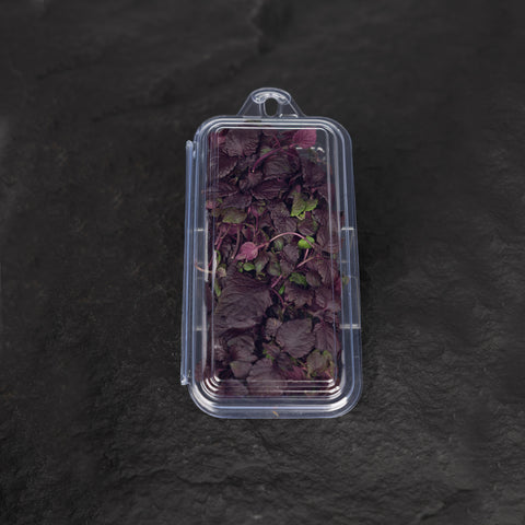 Purple Shiso Cress Microgreens