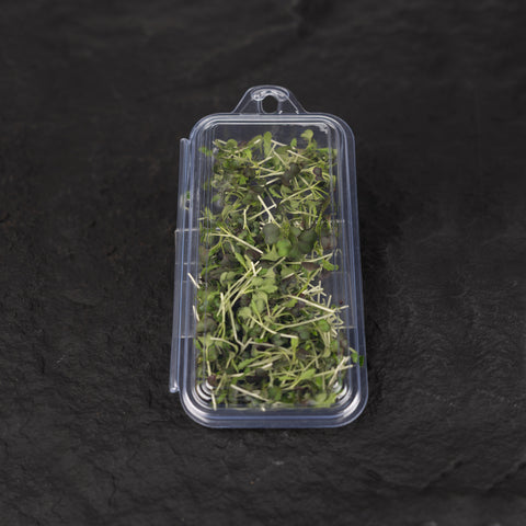 Mizuna Cress Microgreens