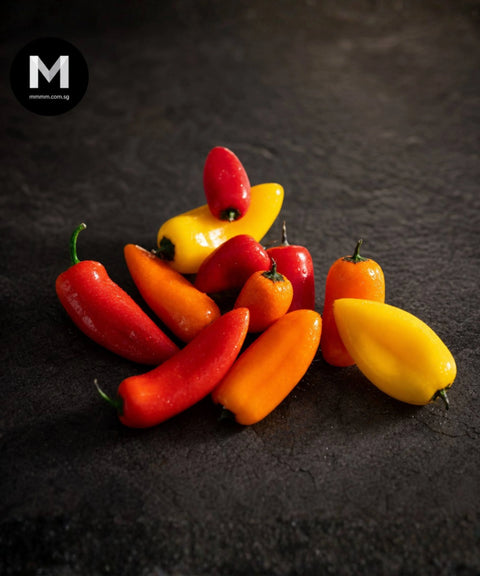 Mixed baby capsicum on a white background