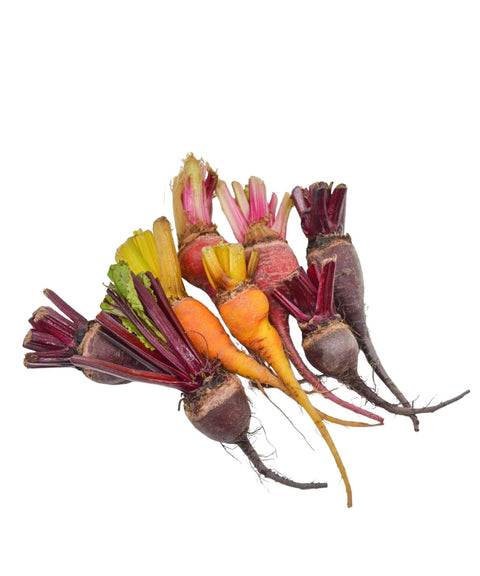 Mixed Baby Beetroot 250g