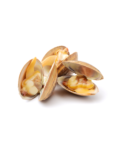 NZ Diamond Clams (Pipi) Frozen 500 g