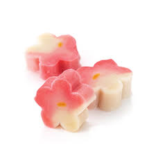 Kyoto Ofu (Ume) 梅お麩