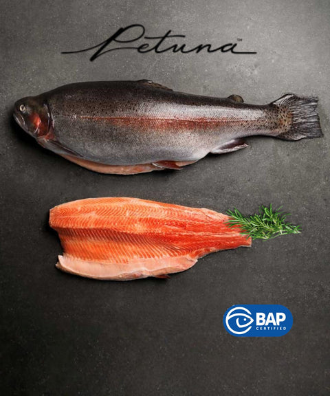 Petuna Ocean Trout (Frozen)