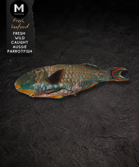 Wild Caught Parrot Fish ($22.50/KG)