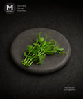 Curly Pea Tendril on a plate. Best cress to be used for plating.