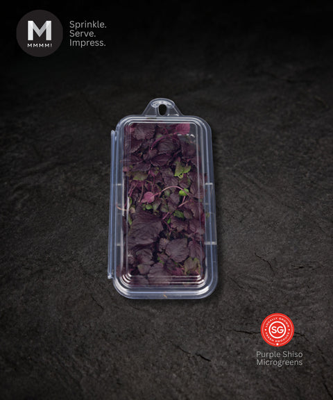 Shiso Purple Cress Microgreens