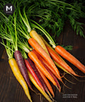 A group of fresh, unpeeled carrots in orange, yellow, red, and purple, complete with their green tops, arranged on a dark wooden surface.
