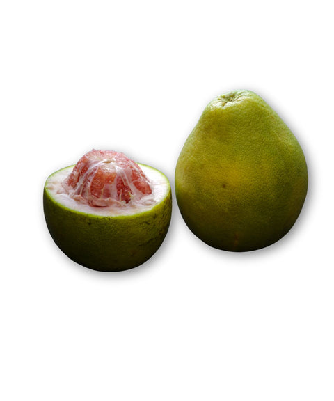 Red Pomelo