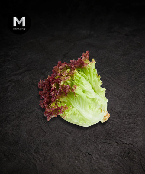 Red Coral Lettuce (1 pc)