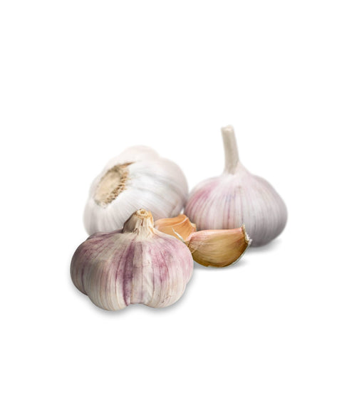 French Rose Garlic