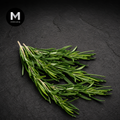 Rosemary | Mmmm Singapore