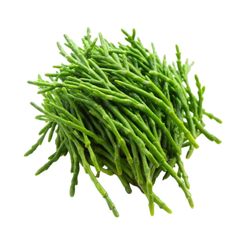 Sea Asparagus/ Salicornia