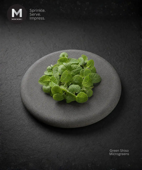 Micro Cress Green Shiso, tiny with Shiso taste, on a black mound