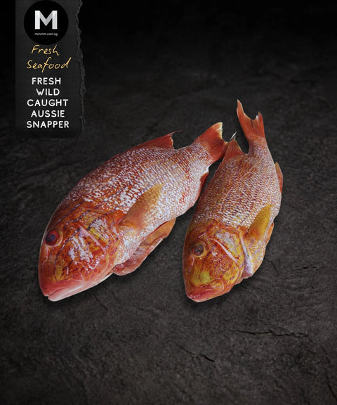 Wild Caught Snapper Fish (350g)