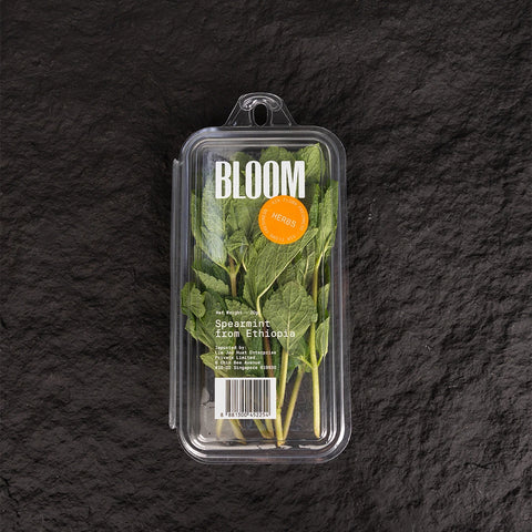Fresh Mint (20g)