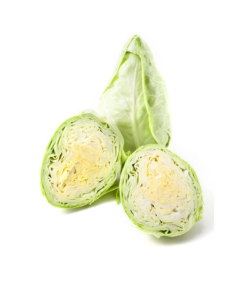 Sugarloaf Cabbage