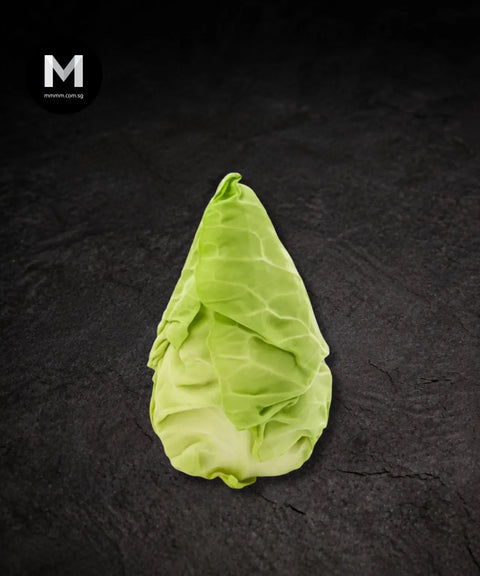 Sugarloaf Cabbage
