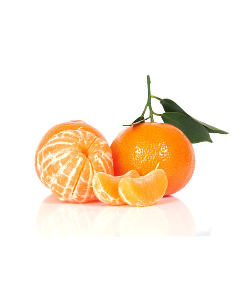 Tangerine (with Leaf)