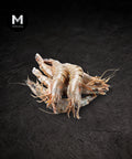 Wild Caught Fresh Tiger Prawn
