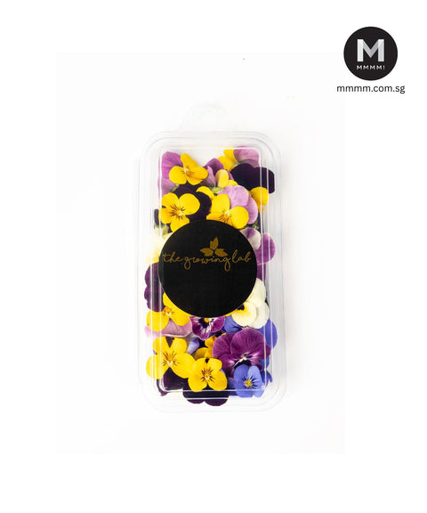 Fresh Edible Viola Flowers