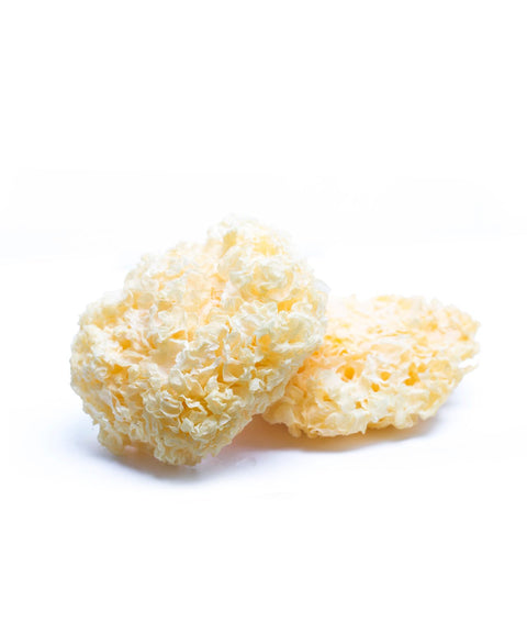 White Coral Fungus