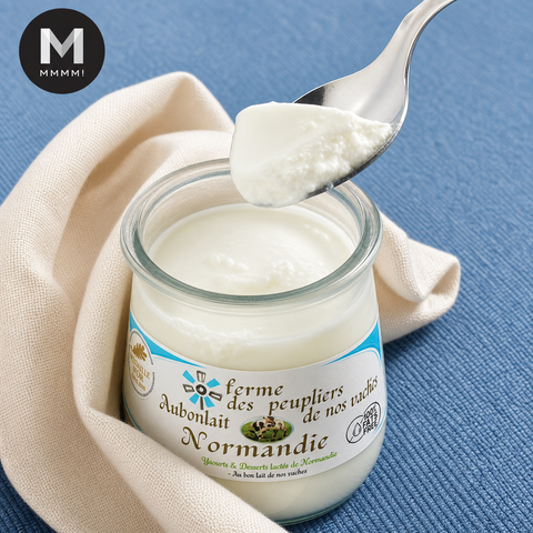 Jar of Normandy France yogurt with a spoonful being lifted, on a blue background. The texture of the yogurt is not as thick as the greek yoghurt and not as watery. it is just the right consistency like very soft tofu mixed with cream.